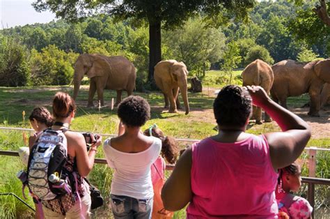 North Carolina Zoo Announces Record-Breaking 1 Million Visitors