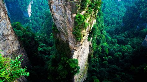 Download Cliff China Wulingyuan Forest Mountain Nature Rock HD Wallpaper