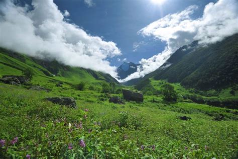 Explore Biodiversity of Himalayas - Triponary