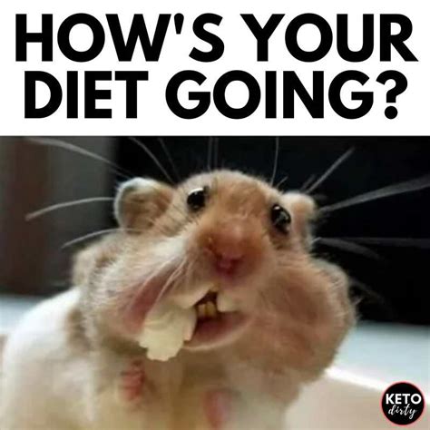 Diet Memes - 25+ Funny Images About the Woahs of Dieting