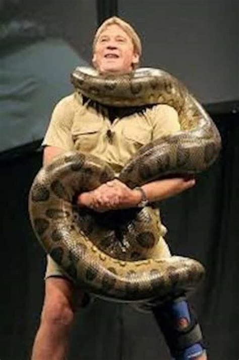 Do Anaconda Kill Their Pet Owners When Grown More Than 7 feet?