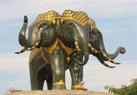 Why Is Elephant The National Animal of Laos? - Laos Tours