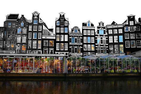 Amsterdam-flower-market - Travel Off Path