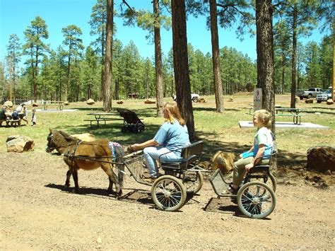 Things To Do in Pinetop Arizona, Things To Do in Show Low, Arizona.