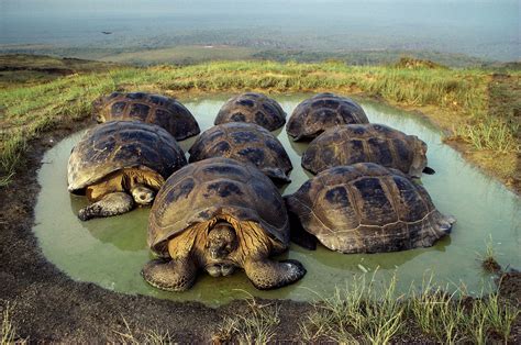 Y Nos Vamos A Las Islas De Ecuador!! ¿Solango O Galápagos? - Turismo Latino