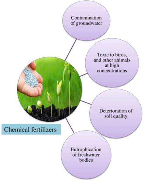 Chemical fertilizers: Impact on plant growth and environmental sustainability