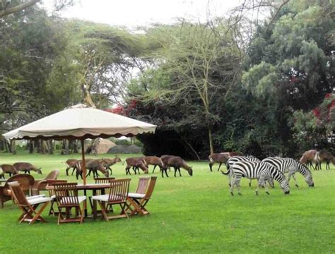 Lake Naivasha country club | Lake Naivasha | Kenya Safaris Tours