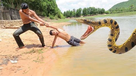 Real Anaconda Attacks Two Brother While Swimming In The River - Boy Vs ...