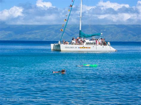 Honolua Bay Snorkeling Secrets! The Complete Guide to Maui Snorkeling!