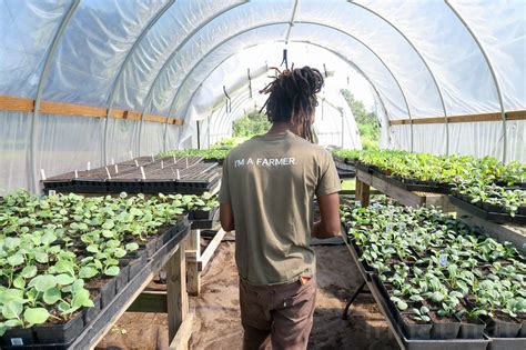 Why You Should Practice Urban Agriculture - Business Africa Online