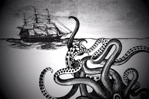 [49+] Kraken Rum Wallpaper on WallpaperSafari | Kraken, Cephalopod art ...