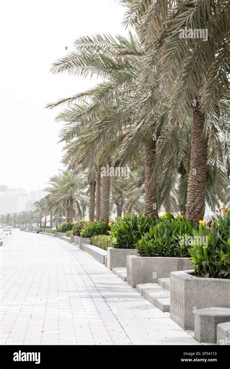 Corniche and Skyline, Doha, Qatar Stock Photo - Alamy