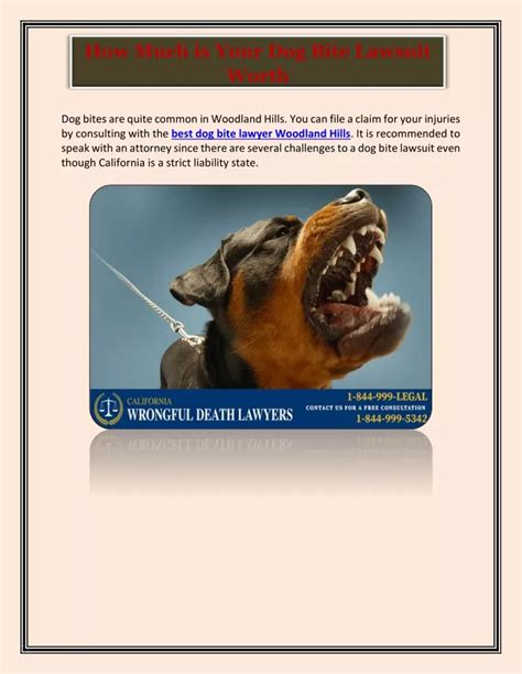 PPT - How Much is Your Dog Bite Lawsuit Worth? PowerPoint Presentation ...