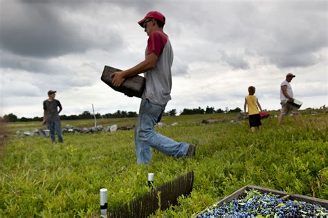 What is a rural community? The answer isn't always so simple. - POLITICO