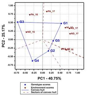 The which-won-where GGE biplot showing five extra early maize genotypes ...