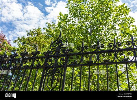 Spiked Black Wrought Iron Against Green Trees Stock Photo - Alamy