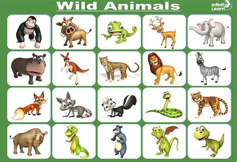 List of 100+ Wild Animals Name in English - Infinity Learn