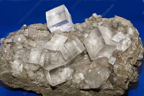 Rock salt crystals - Stock Image - C020/0059 - Science Photo Library