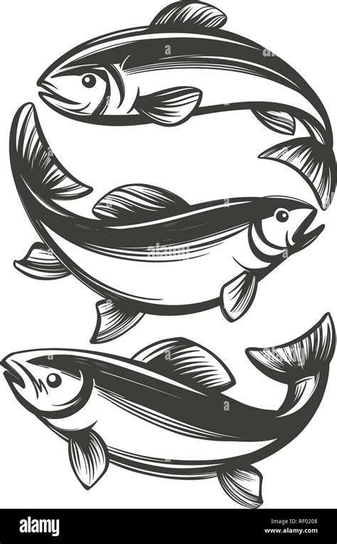 Establecer icono de peces, la pesca símbolo dibujado a mano, ilustración vectorial dibujo ...