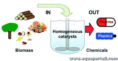 Catalyse homogène : définition et explications