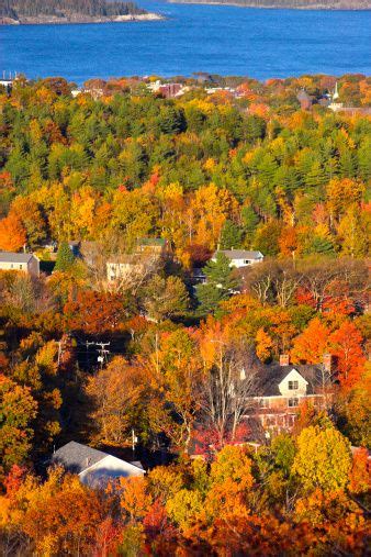 Bar Harbor, Maine | Fall foliage tour, Fall foliage, Dog friendly vacation