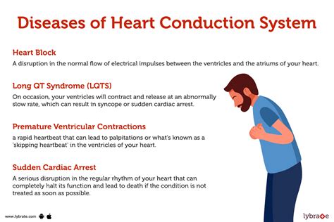 Heart Conduction System (Human Anatomy): Picture , Functions, Diseases, and Treatments