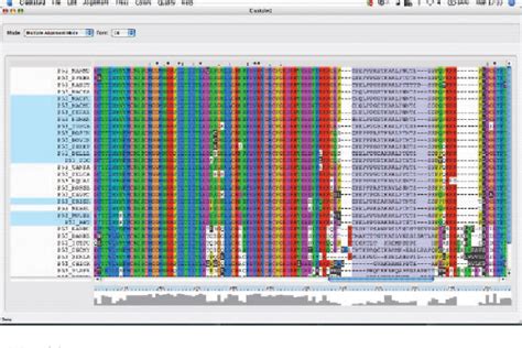 Figure 1 from Clustal W and Clustal X version 2.0 | Semantic Scholar