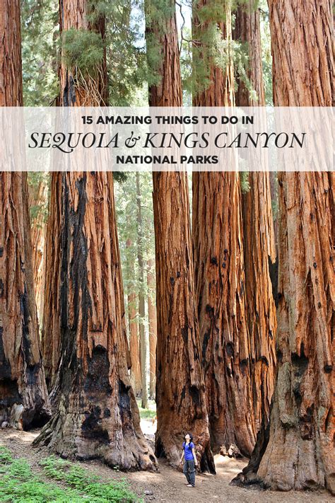 15 Amazing Things to Do in Sequoia National Park + Kings Canyon