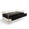 Rectangular Black and Gold Glass Top Coffee Table with Storage - Akila ...