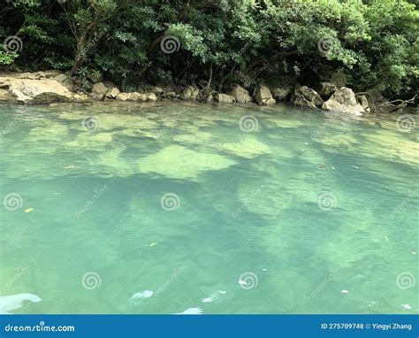 Libo Zhangjiang Scenic Area of China Stock Photo - Image of stream, jungle: 275709748