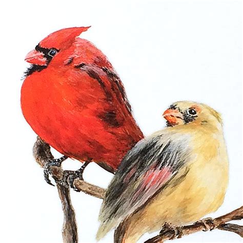 Cardinal Print Cardinal Art Cardinal Pair Bird Print Red - Etsy Canada