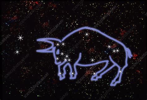 Taurus constellation - Stock Image - R550/0337 - Science Photo Library