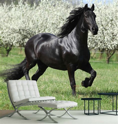 Wallpaper Mural Black Stallion | Muralunique