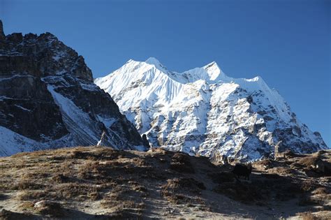 Trek camp base du Kangchenjunga | Trekking Népal Nepatrek - Trekking - voyages au Népal - trek Nepal