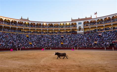 San Isidro 'torea' el acoso animalista y suma 22.000 espectadores más que en 2018 - Libre Mercado