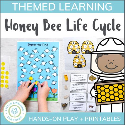 Honey Bee Life Cycle Mini Unit - Little Lifelong Learners