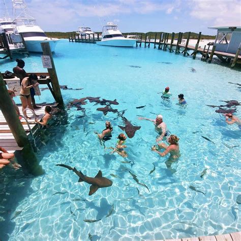 Top Things to do in Exuma: Travel Guide | Diana's Healthy Living