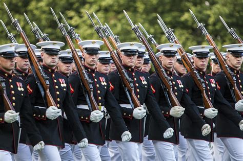 usmc ceremonial guard | Marine corps, United states marine corps, Us marine corps