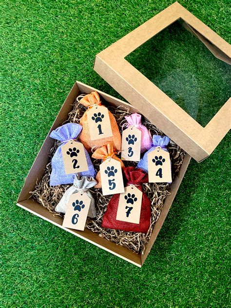 Gift box for cats Christmas gift cat gift box cats birthday | Etsy