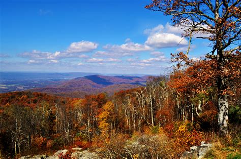 Skyline Drive Fall 2012 001 | At the first overlook, about 2… | Flickr