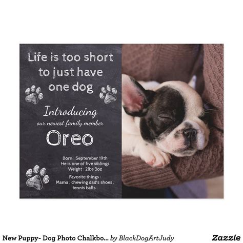 New Puppy- Dog Photo Chalkboard Puppy Announcement Postcard | Zazzle | Puppy announcement, Puppy ...