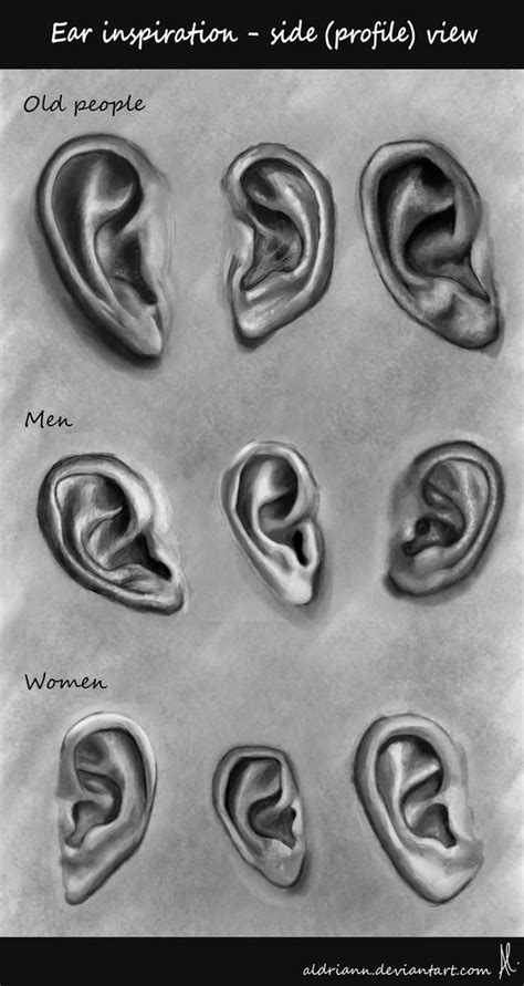 Ear Shapes Inspiration by Aldriann on DeviantArt