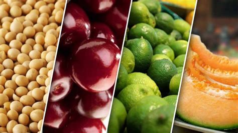 17 Alimentos ricos en Estrógenos Naturales y sus Beneficios