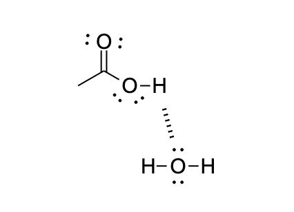 Draw structures to show all the types of hydrogen bonding present in an aqueous solution of ...