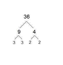 How do you find all factors of 36? | Homework.Study.com