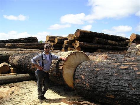 Douglas Fir | East Fork Lumber Company – Oregon