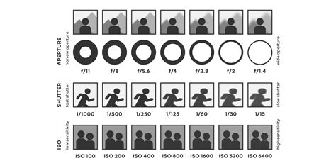 The Three Elements of the Exposure Triangle | Innovative Gear for Content Creators