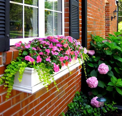 Lovely Window Boxes To Beautify Your House Exterior - Top Dreamer