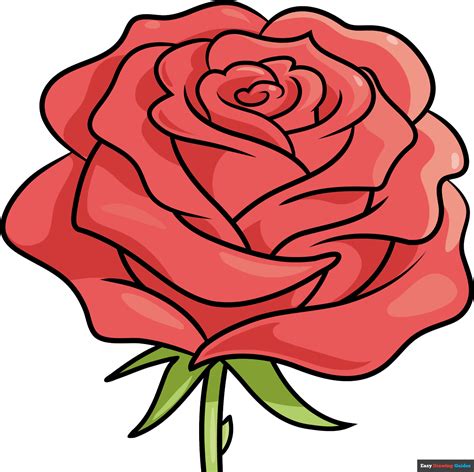 How to Draw a Realistic Rose Flower - Really Cute Drawing Tutorial