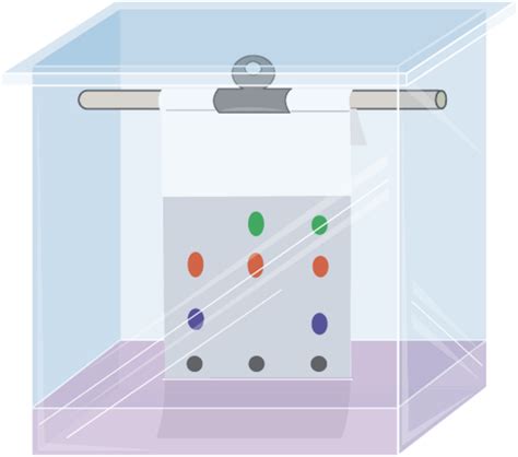 Paper and Thin-Layer Chromatography | ChemTalk